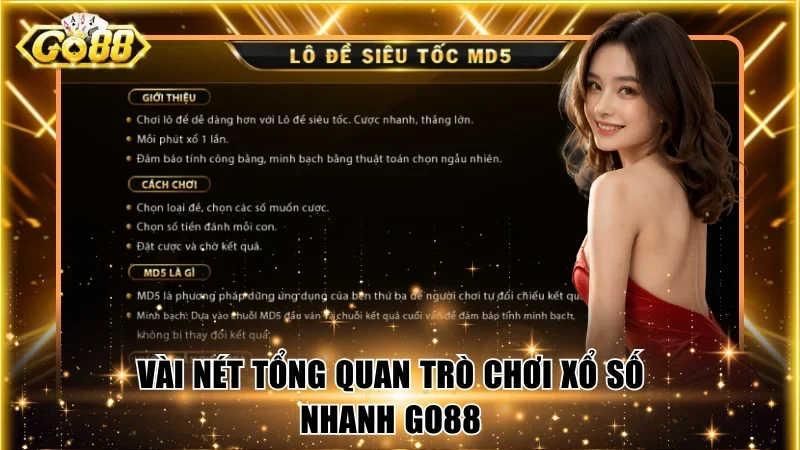 Vài nét tổng quan trò chơi xổ số nhanh